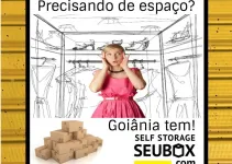 SEUBOX.COM GUARDA MÓVEIS GOIÂNIA serviços de mudanças residenciais em Goiânia GO
