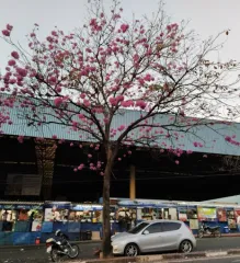 Imagem 9 da empresa AGÊNCIA DE ATENDIMENTO TERMINAL OURO VERDE (SANASA) Transporte Rodoviário em Campinas SP