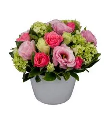 Imagem 1 da empresa ALECRIM FLORES Floriculturas em Atibaia SP