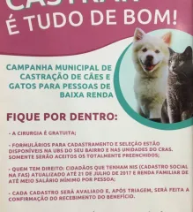 Imagem 4 da empresa ANIMALI CENTRO MEDICO VETERINARIO EM CAXIAS DO SUL, RS Veterinários em Caxias Do Sul RS