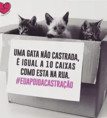Imagem 6 da empresa ANIMALI CENTRO MEDICO VETERINARIO EM CAXIAS DO SUL, RS Veterinários em Caxias Do Sul RS