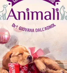 Imagem 7 da empresa ANIMALI CENTRO MEDICO VETERINARIO EM CAXIAS DO SUL, RS Veterinários em Caxias Do Sul RS