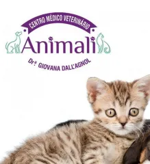 Imagem 8 da empresa ANIMALI CENTRO MEDICO VETERINARIO EM CAXIAS DO SUL, RS Veterinários em Caxias Do Sul RS