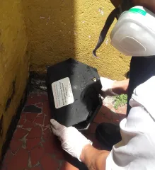 Imagem 1 da empresa BQ FERREIRA DEDETIZAÇÃO Dedetização e Desratização em São Paulo SP