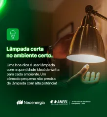 Imagem 10 da empresa CELPE - CIA ENERGETICA DE PERNAMBUCO Eletricidade - Manutenção e Suporte em Itamaracá PE