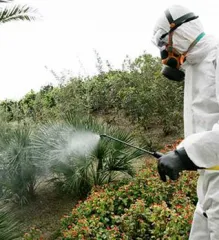 Imagem 2 da empresa DESENTUPIDORA PALMA DE OURO Desentupimento em Salto SP