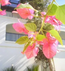 Imagem 1 da empresa IMOBILIARIA JARDIM GIZELLE Assessoria de Imprensa em Florianópolis SC