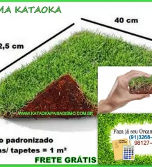 Imagem 1 da empresa JARDIM & CIA Grama em Belém PA