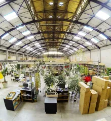 Imagem 1 da empresa NATURE FLORES Floriculturas em São Paulo SP