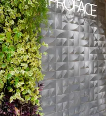 Imagem 1 da empresa PROFACE ICARAÍ Cirurgiões-Dentistas - Implantodontia em Niterói RJ