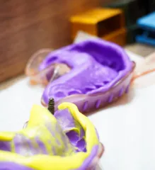 Imagem 2 da empresa PROFACE ICARAÍ Cirurgiões-Dentistas - Implantodontia em Niterói RJ