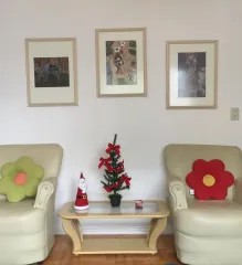 Imagem 8 da empresa RESIDENCE CARE BEM ESTAR Residencial para Idosos em Porto Alegre RS