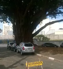 Imagem 2 da empresa TEATRO SOTAC Teatros em Campinas SP