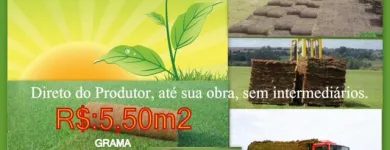 Imagem 1 da empresa GRAMA ESMERALDA Paisagismo em Belém PA