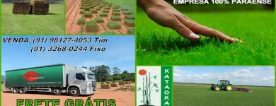 Imagem 2 da empresa GRAMA ESMERALDA Paisagismo em Belém PA