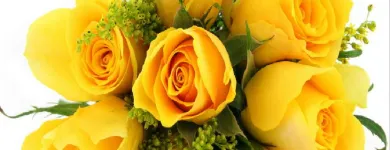 Imagem 2 da empresa PALOMA FLORES Floriculturas em Barueri SP