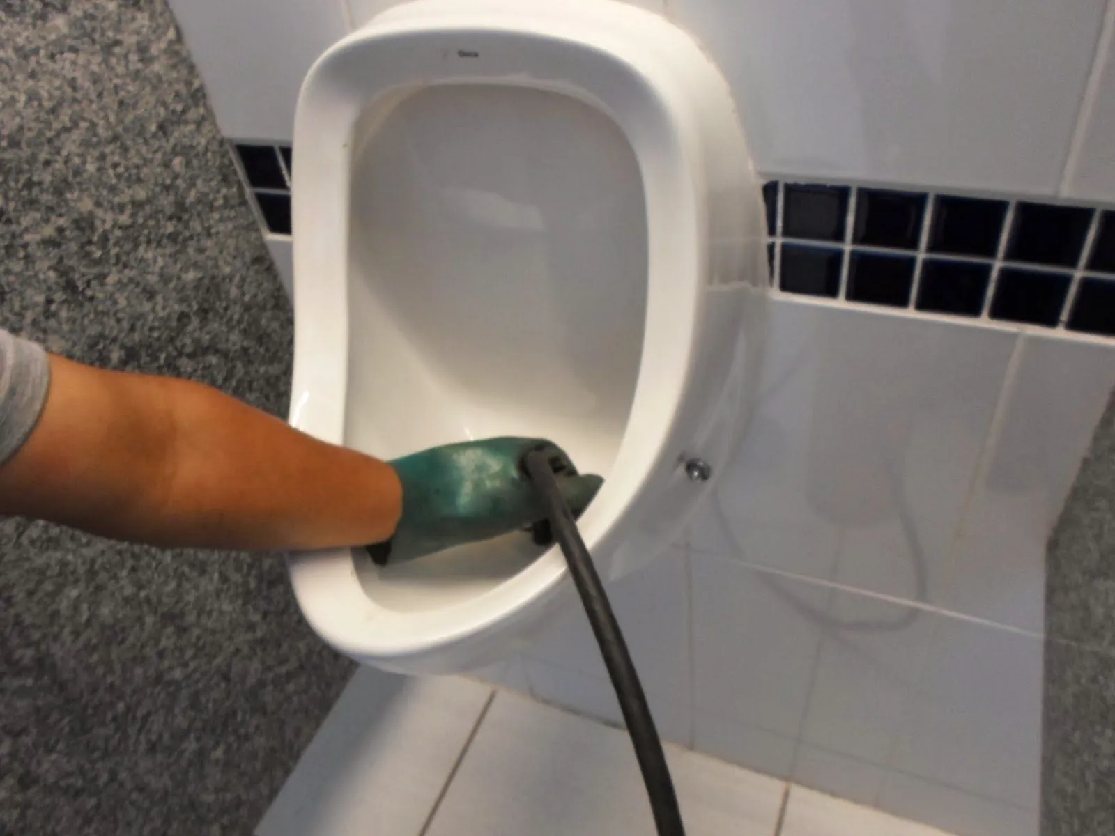 Imagem 2 da empresa CANARIO DESENTUPIDORA E DEDETIZADORA