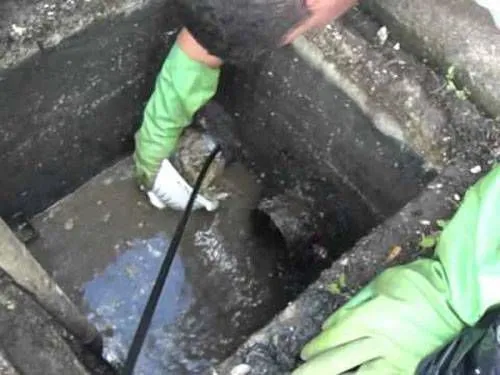 Imagem 1 da empresa CANARIO DESENTUPIDORA E DEDETIZADORA