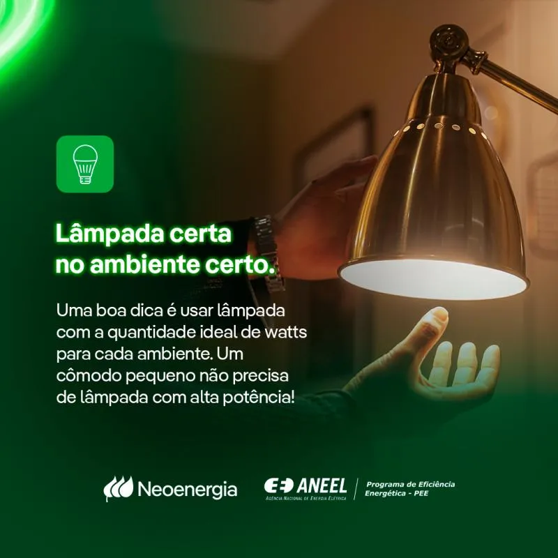 Imagem 10 da empresa CELPE - CIA ENERGETICA DE PERNAMBUCO