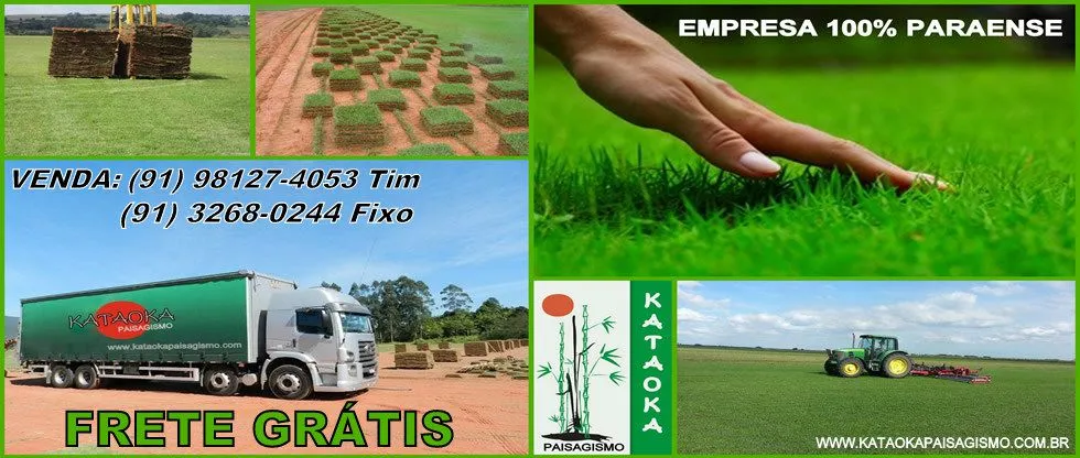 Imagem 2 da empresa GRAMA ESMERALDA