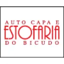 AUTO CAPA E ESTOFARIA DO BICUDO. Estofadores em Blumenau SC