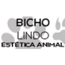 BICHO LINDO ESTÉTICA ANIMAL Animais em Guaíba RS