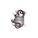 DRAGON - SEGURANÇAS E PORTARIAS Segurança em Porto Alegre RS