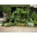 FLORICULTURA GETSÊMANI Floriculturas em Alvorada RS