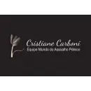 FISIOTERAPIA PÉLVICA CRISTIANE CARBONI Fisioterapia em Porto Alegre RS