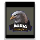 ÁGUIA DEDETIZAÇÃO JP Outras Atividades de Serviços Prestados em João Pessoa PB