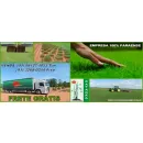 GRAMA ESMERALDA Paisagismo em Belém PA