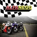 ALFANEGG Pintura Artística em Porto Alegre RS