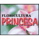 FLORICULTURA PRINCESA Floriculturas em São José Dos Campos SP