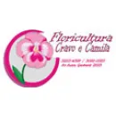 FLORICULTURA CRAVO E CAMILA Floriculturas em Curitiba PR