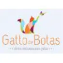 GATTO DE BOTAS EXCLUSIVA PARA FELINOS Clínicas Veterinárias em São Bernardo Do Campo SP