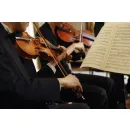 MAGGIORE MUSICALE - PRODUÇÕES MUSICAIS Músicos em Jacareí SP