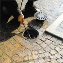 DESENTUPIDORA CAIXA DE GORDURA CHACÁRA DAS PEDRAS (51) 3129-1468 Limpeza de Caixas de Água em Porto Alegre RS