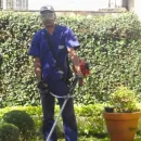 JARDINEIRO PARTICULAR Paisagismo em Guarulhos SP