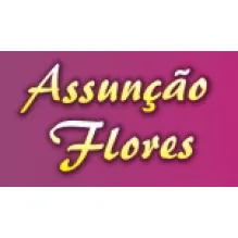 ASSUNÇÃO FLORES