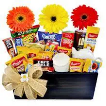 FLORICULTURA E CESTARIA INNOVA