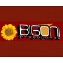 BIGONI COMUNICACAO VISUAL