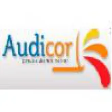 AUDICOR COMERCIO DE TINTAS