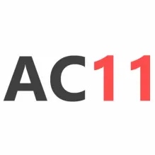 ACOMPANHANTES 11