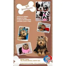 BELEZA CANINA - BANHO & TOSA E CLÍNICA VETERINÁRIA