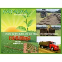 KATAOKA PAISAGISMO