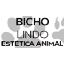 BICHO LINDO ESTÉTICA ANIMAL