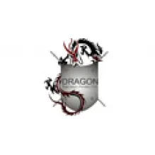 DRAGON - SEGURANÇAS E PORTARIAS