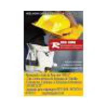 R SEG LIMA TREINAMENTO E CONSULTORIA