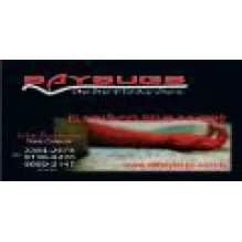 BAYBUGS DEDETIZAÇÕES