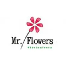 MR. FLOWERS